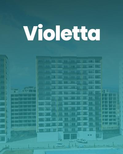 Violetta